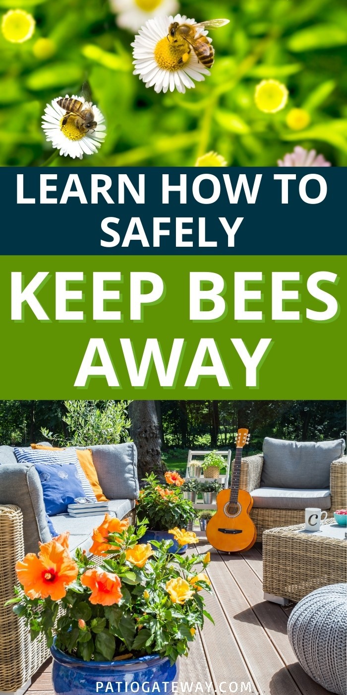 How to Keep Bees Away When You're Trying to Enjoy the Outdoors Patio Gateway