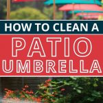 How to clean a patio umbrella | best way to clean an umbrella | cleaning an outdoor umbrella | how to clean an outdoor umbrella | how to clean patio furniture | cleaning a patio umbrella without chemicals | #patioumbrella #patio #cleaning #DIY #naturalcleaning #howto