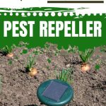 Best Outdoor Ultrasonic Pest Repeller | How to Keep Bugs Out of Your Yard Naturally | Natural Pest Control | Keep Animals and Rodents Away #naturalpestcontrol #bugrepellant #pestrepellant #reviews