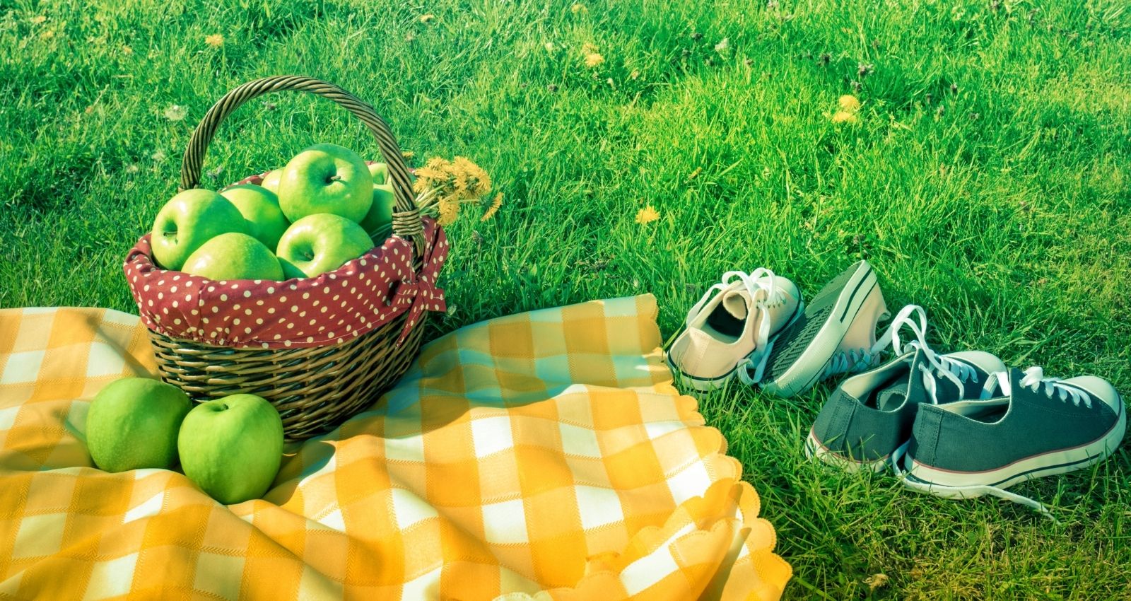 Best Waterproof Picnic Blanket Patio Gateway