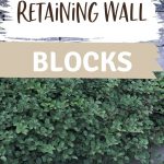 Cheapest Retaining Wall Blocks | Retaining Wall DIY | How to Make a Retaining Wall | Cheap Retaining Wall | Budget Retaining Wall Blocks | #retainingwall #DIYlandscaping #gardening #cheapretainingwall