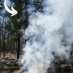 Stop Fire Pit From Smoking | Reducing Fire Pit Smoke | Lessen Fire Pit Smoke | Stop Fire Pit Smoke | How to Make a Less Smoky Bonfire | How to Cut Down on Bonfire Smoke | #firepitsmoke #smoke #firepit #bonfire #diy
