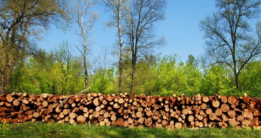 What Is The Best Type of Firewood For a Fire Pit or Fireplace?