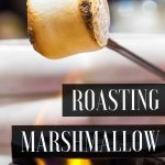 Roasting Marshmallows | Propane Food Cooking | Cooking With Propane | Roasting Marshmallows Over Propane | Is Propane Safe for Cooking | Gas Cooking | #roasting #marshmallows #roastedmarshmallows #propane #firepit