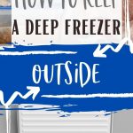 How to Keep a Deep Freezer Outside | Can You Have a Freezer Outside in the Winter | Chest Freezer Outside | Outdoor Kitchen Freezer | Outdoor Freezer | Patio Freezer | How to Clean a Freezer | #freezer #patio #deepfreezer #patiofreezer #DIY