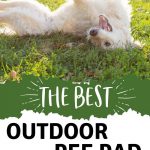 Best Outdoor Pee Pad for Dogs | Dog Pee Pad Training Tips | How to Get a Dog to Use a Pee Pad Outside | Balcony and Patio Doggy Pee Pads #pettraining #petsupplies #dogs #dogtraining