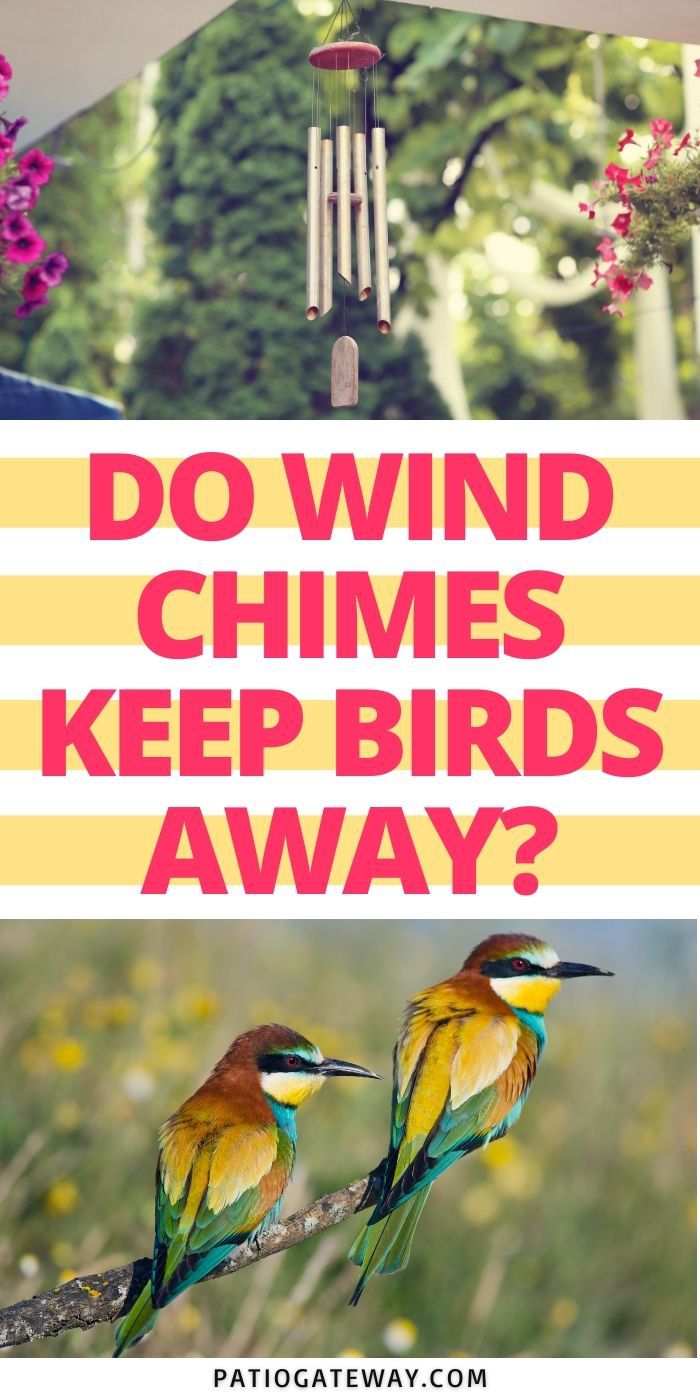 Do Wind Chimes Keep Birds Away? Patio Gateway