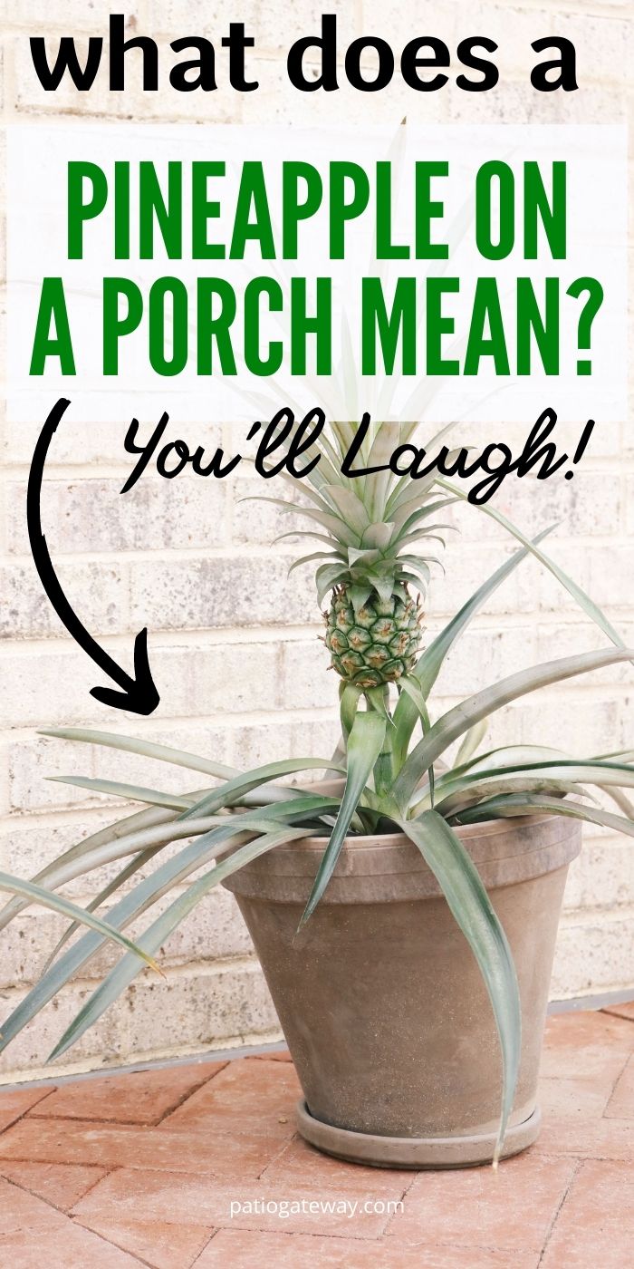 What Does a Pineapple on a Porch Mean? [You'll Laugh!] Patio Gateway
