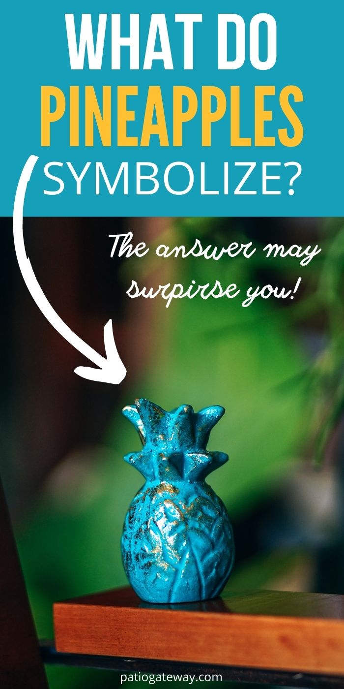 What Does a Pineapple on a Porch Mean? [You'll Laugh!] Patio Gateway