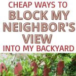 Cheap Ways to Block my Neighbor's View into my Backyard | Privacy Screen Ideas | DIY Ideas | Budget Friendly Privacy Screen #backyard #privacy #savemoney