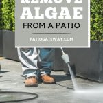 How to Remove Green Algae from a Patio | Deck Cleaning Tips | Patio Cleaning | Get Green Algae off a Patio | How to Clean Algae off Stone | Chemical Free Patio Cleaning Options #patiocleaning #greenalgae #cleaningtips #outdoors