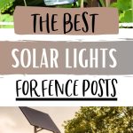 Best Solar Lights for Fence Posts | Outdoor Solar Lights | Fence Post Lights | Backyard Lighting | How to Light a Backyard #solarlights #outdoorlights #backyard