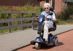 Best Garden Scooters For Seniors